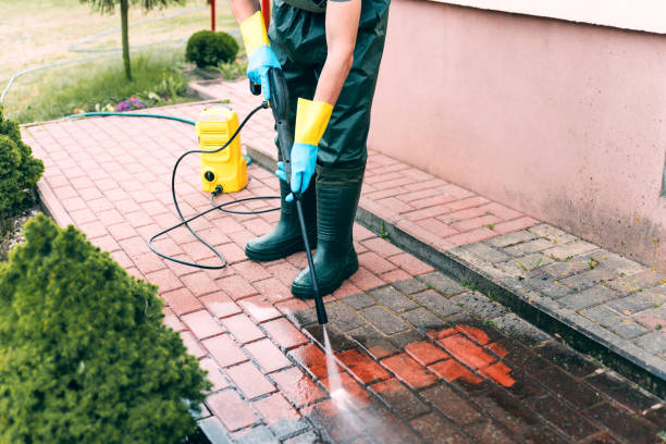 Best Roof Cleaning and Mildew Removal in Byhalia, MS